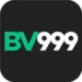Bv999 Game